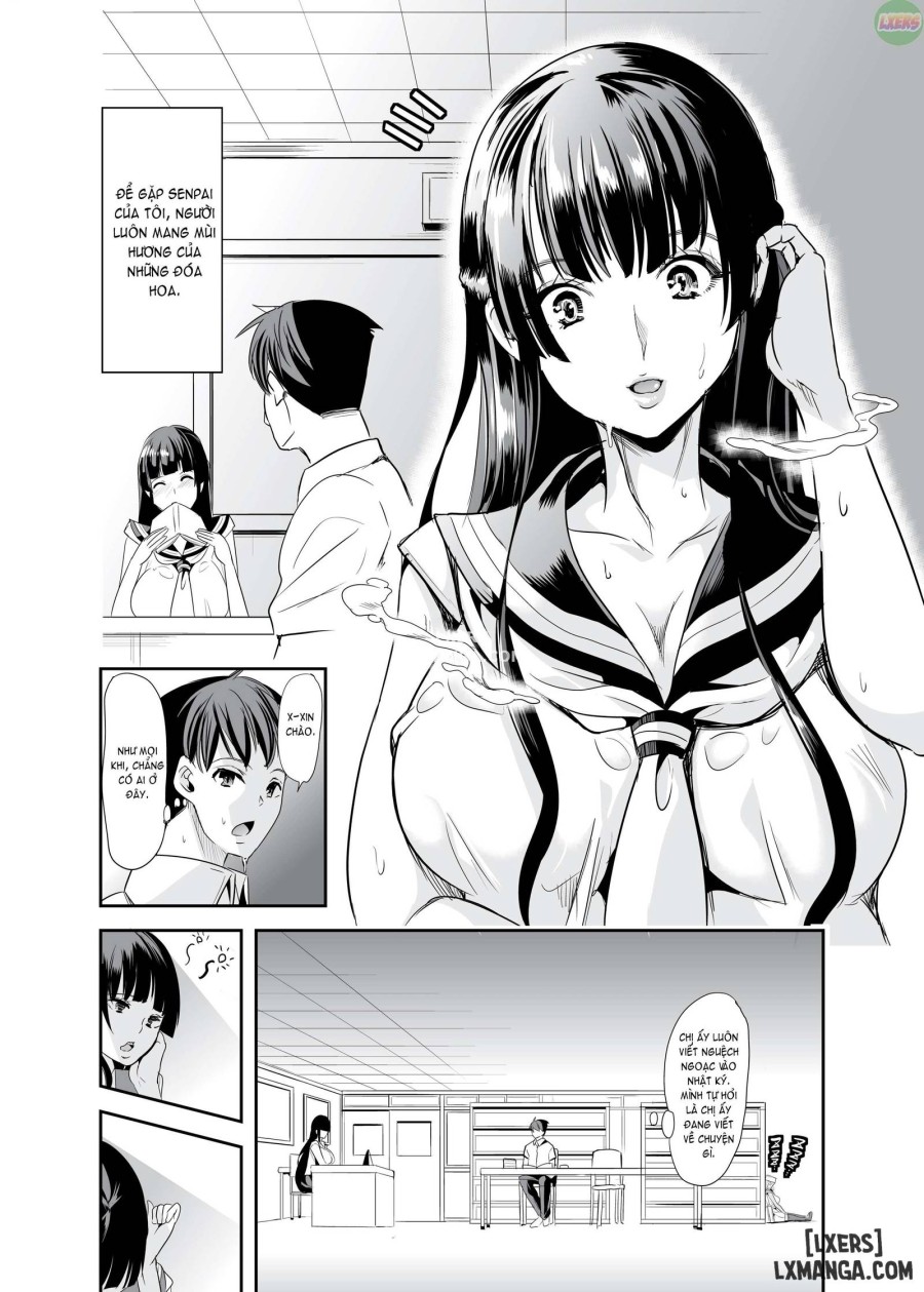 Smells Like Harem 