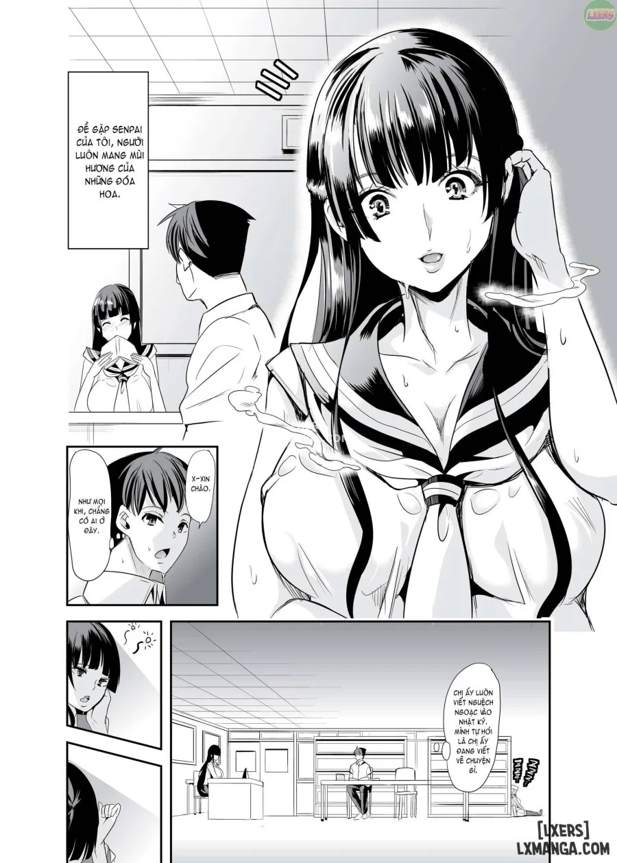 Smells Like Harem 