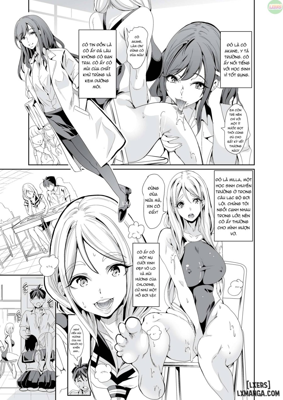Smells Like Harem 