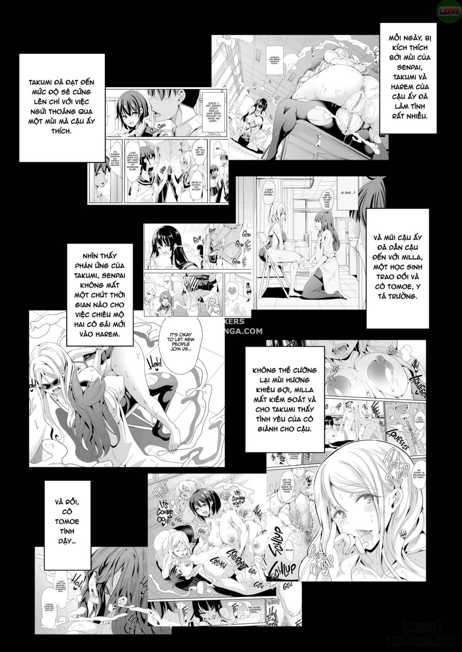 Smells Like Harem 