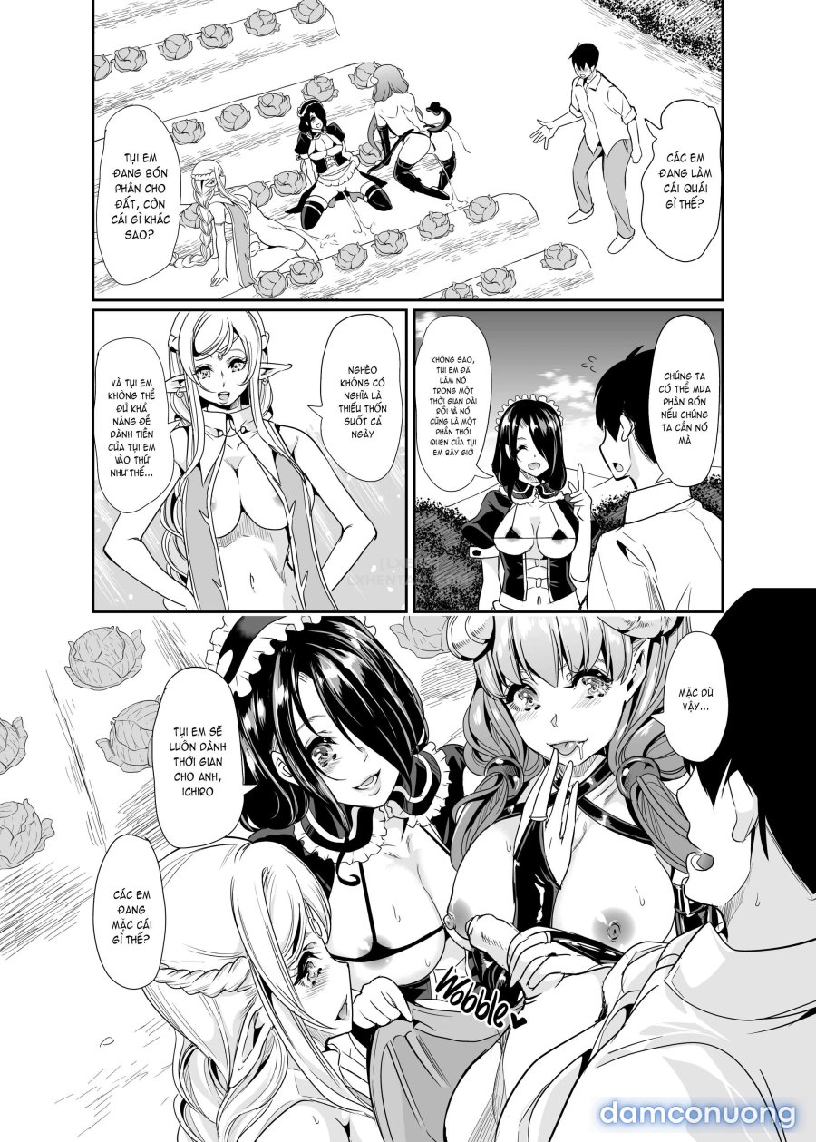 Harem Của Tôi Ở Dị Giới 