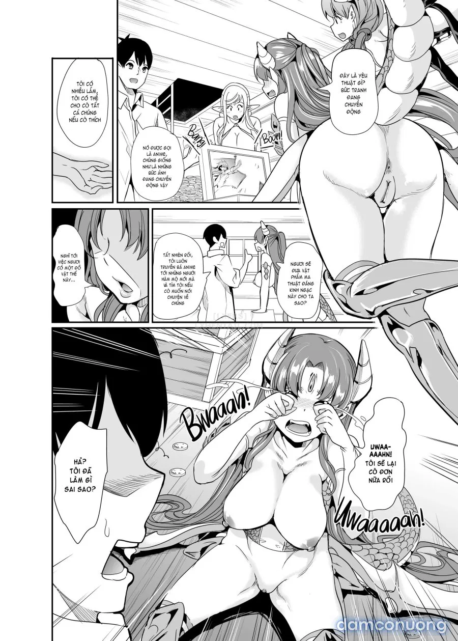 Harem Của Tôi Ở Dị Giới 