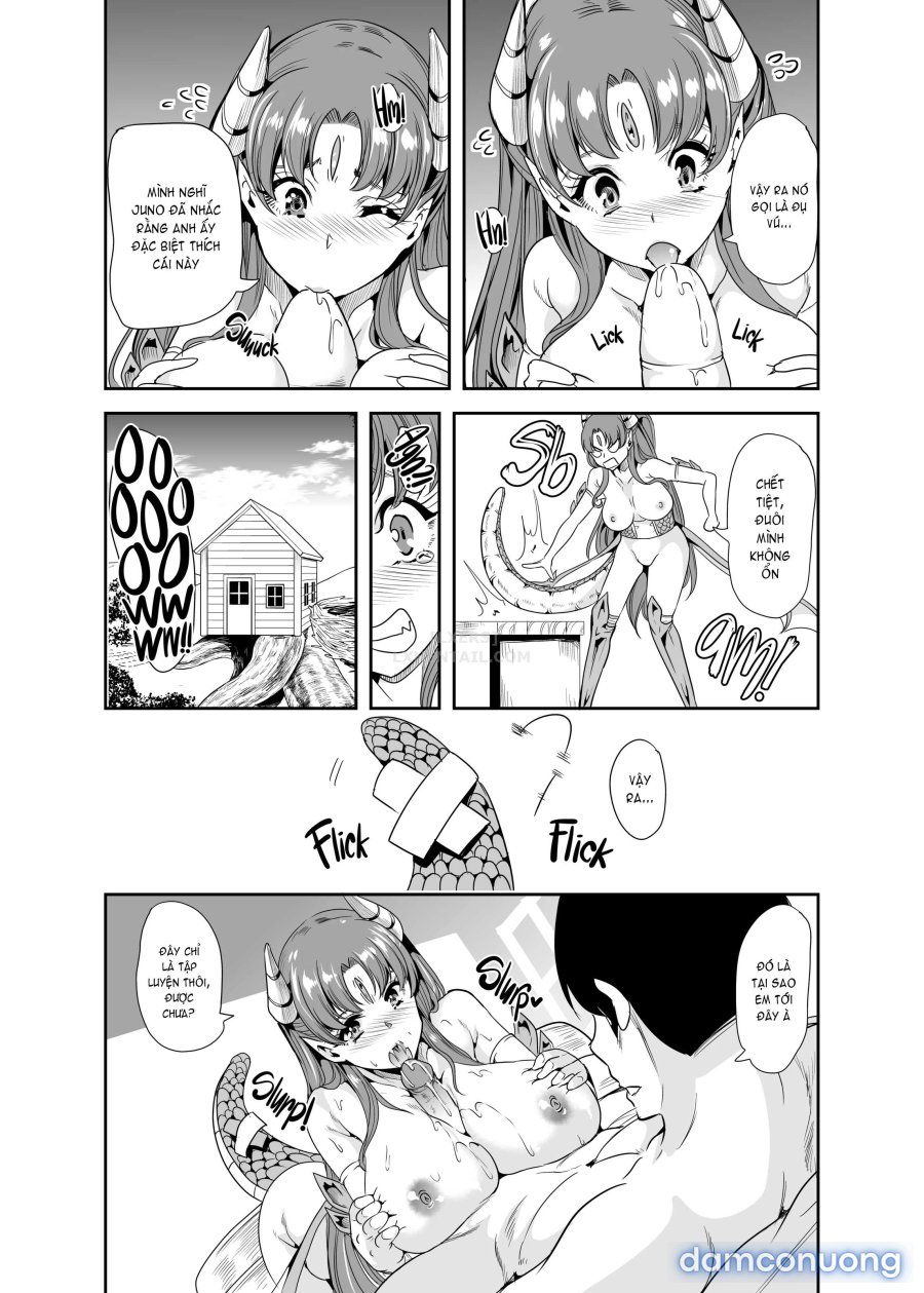 Harem Của Tôi Ở Dị Giới 