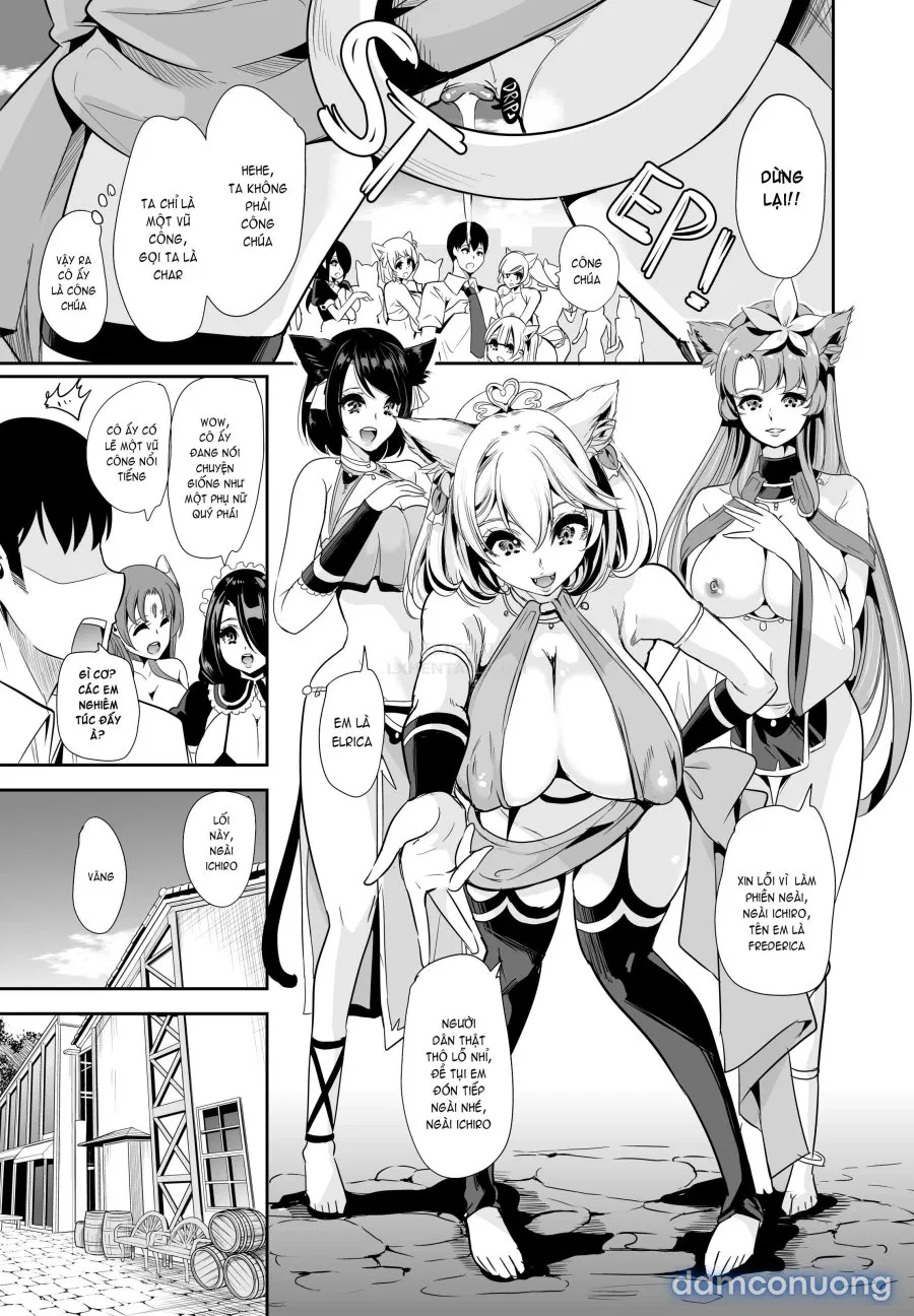 Harem Của Tôi Ở Dị Giới 