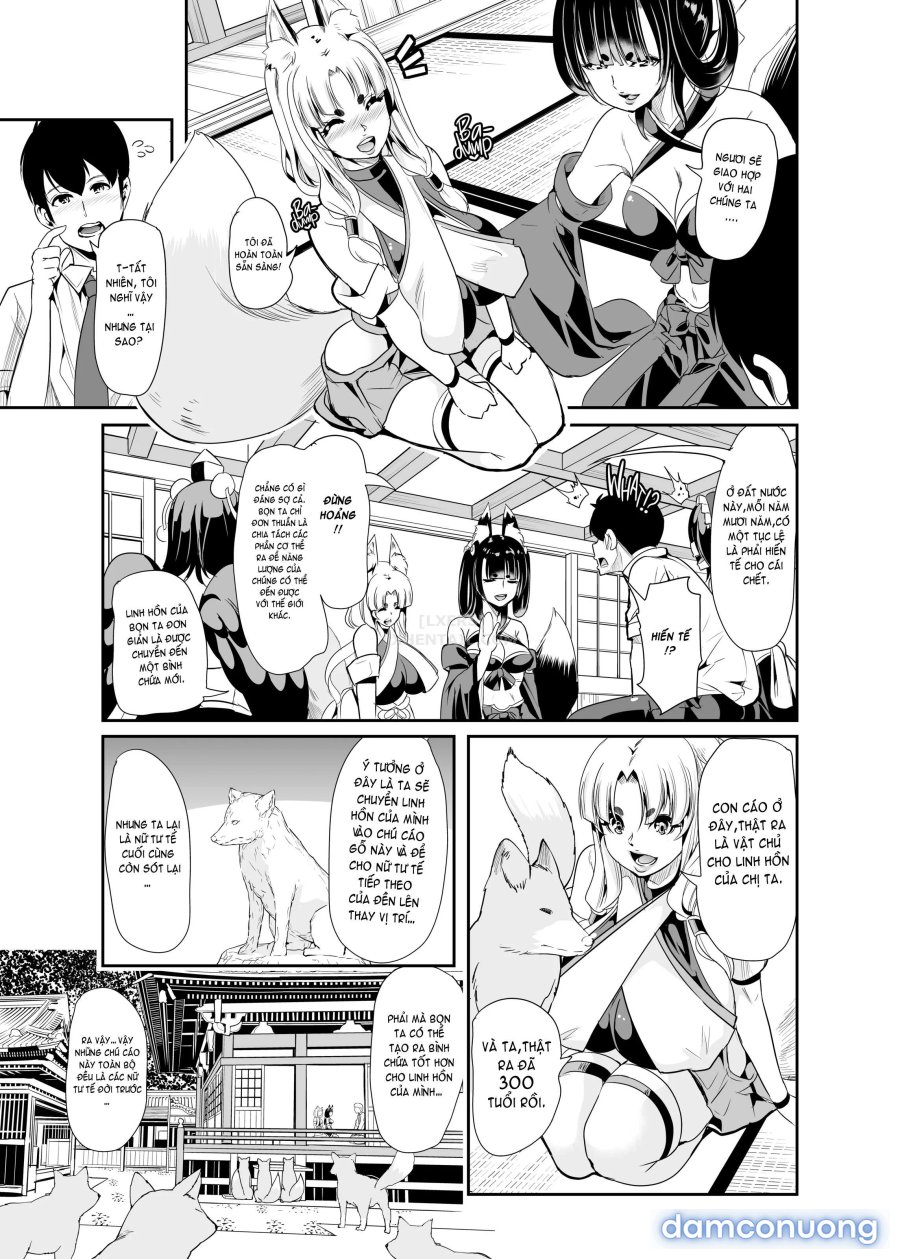 Harem Của Tôi Ở Dị Giới 