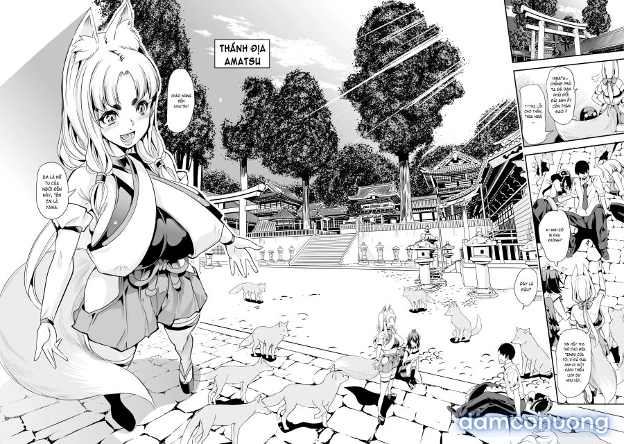 Harem Của Tôi Ở Dị Giới 