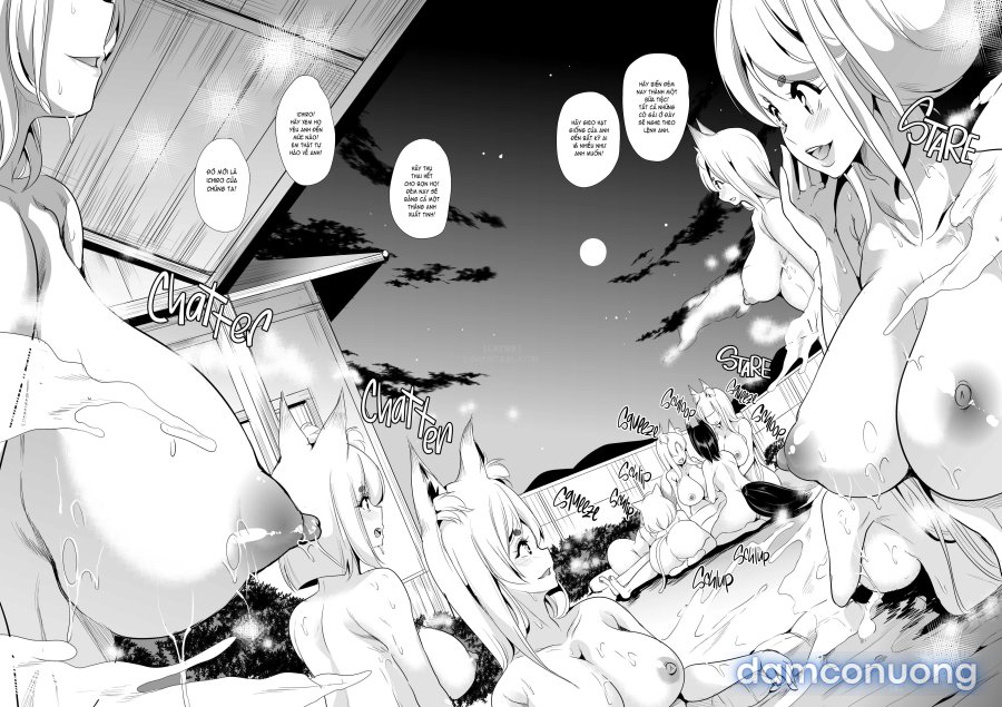 Harem Của Tôi Ở Dị Giới 