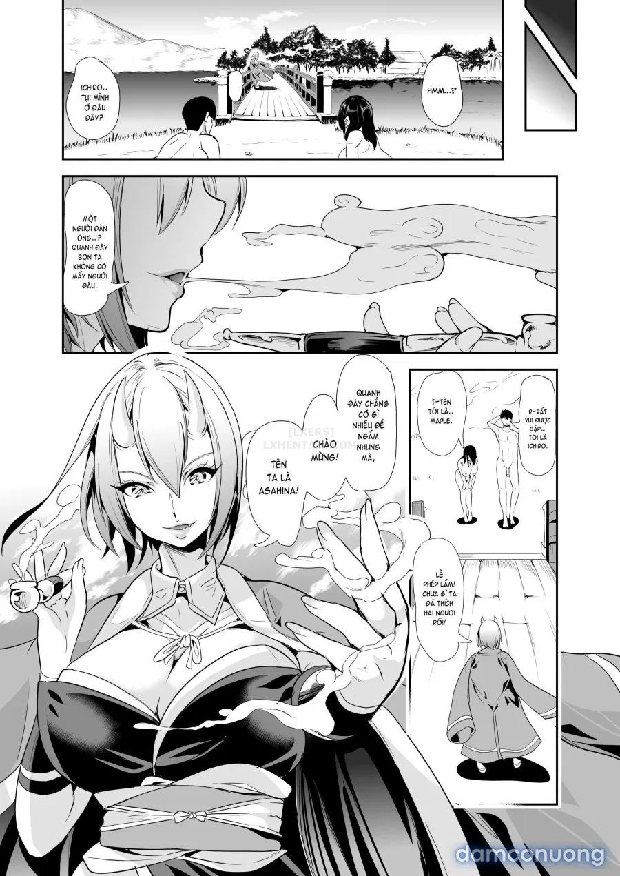 Harem Của Tôi Ở Dị Giới 