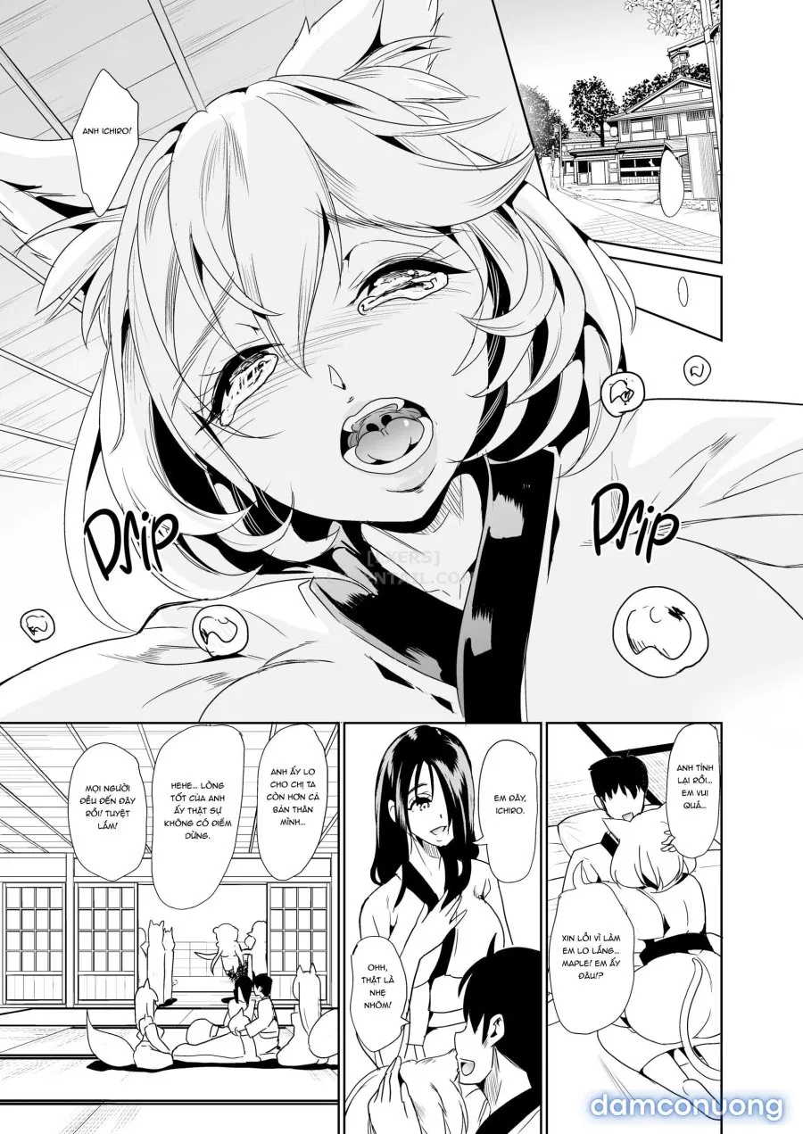 Harem Của Tôi Ở Dị Giới 
