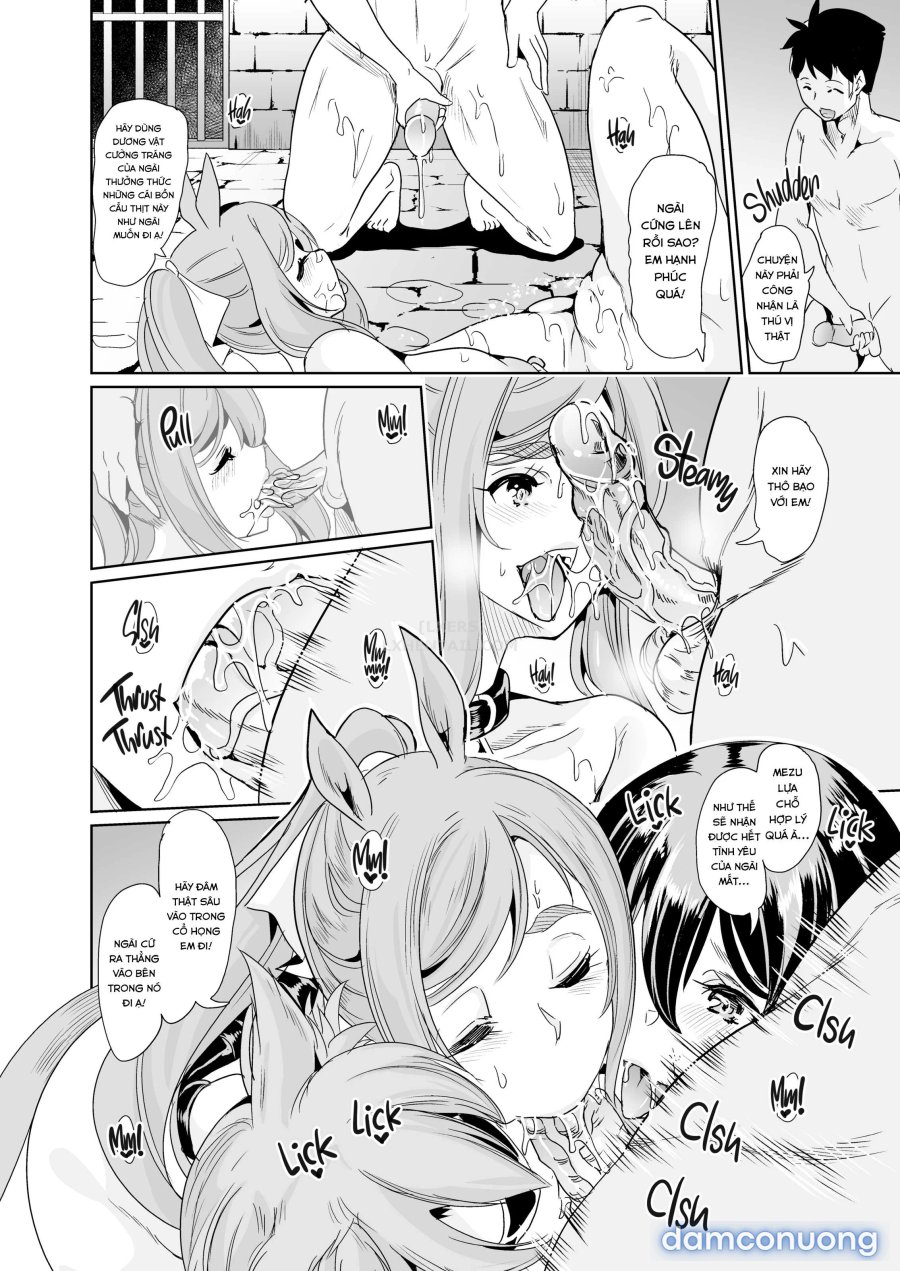 Harem Của Tôi Ở Dị Giới 