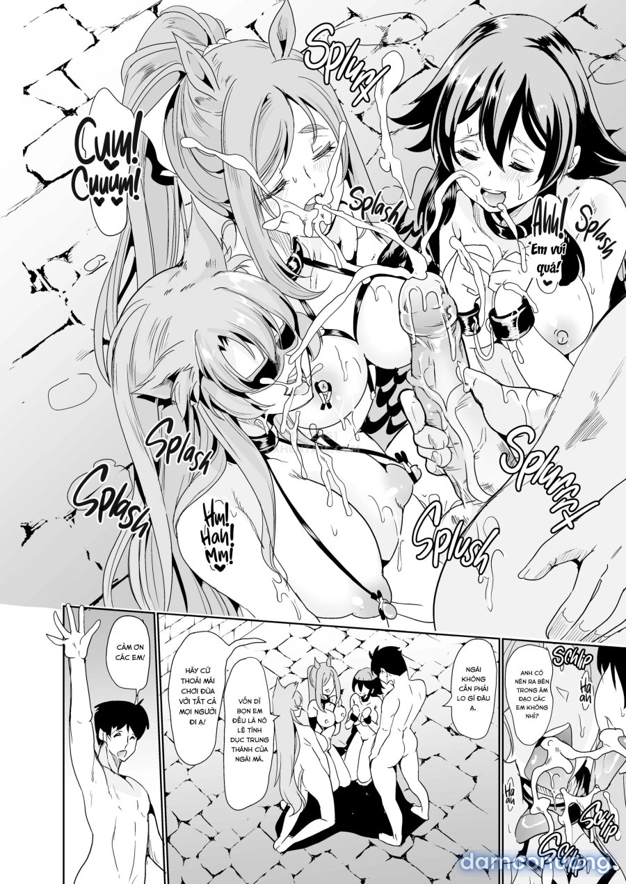 Harem Của Tôi Ở Dị Giới 