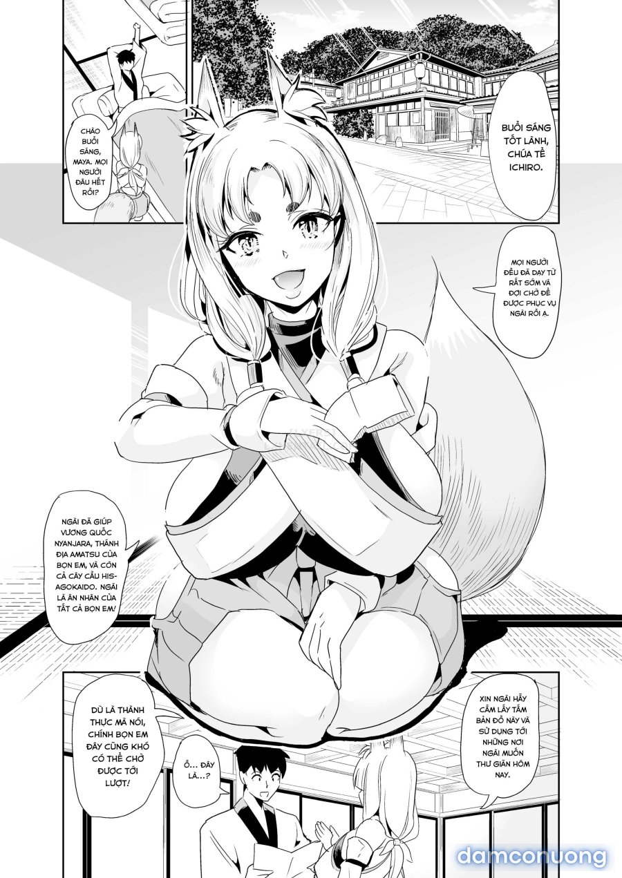 Harem Của Tôi Ở Dị Giới 