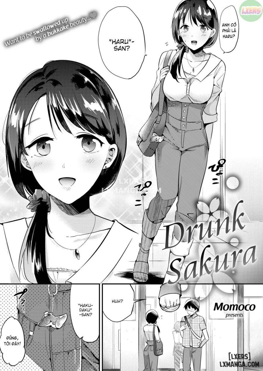 Drunk Sakura 