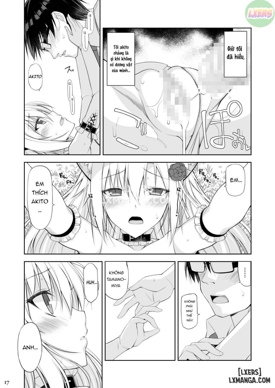A Cat and Her Servan 