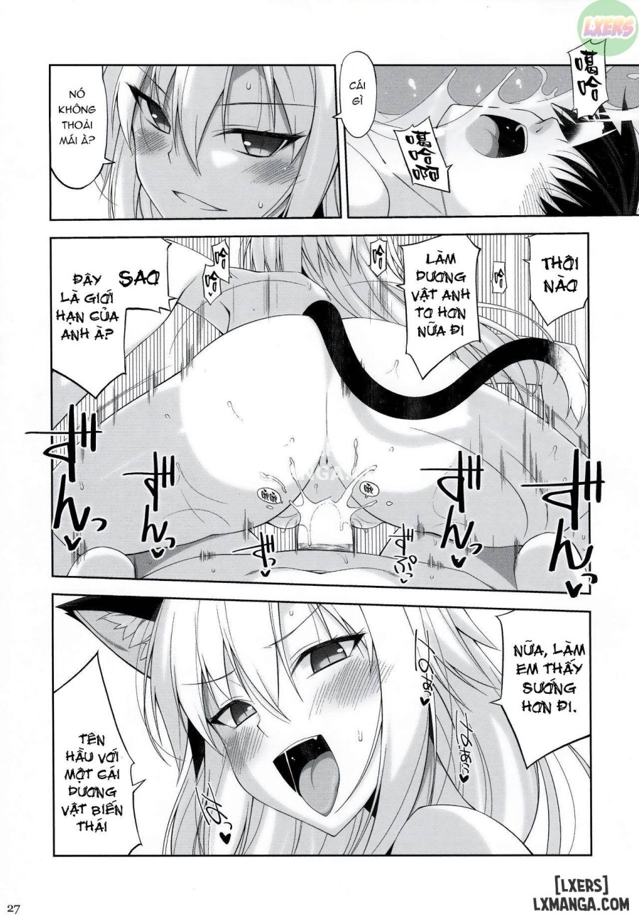 A Cat and Her Servan 