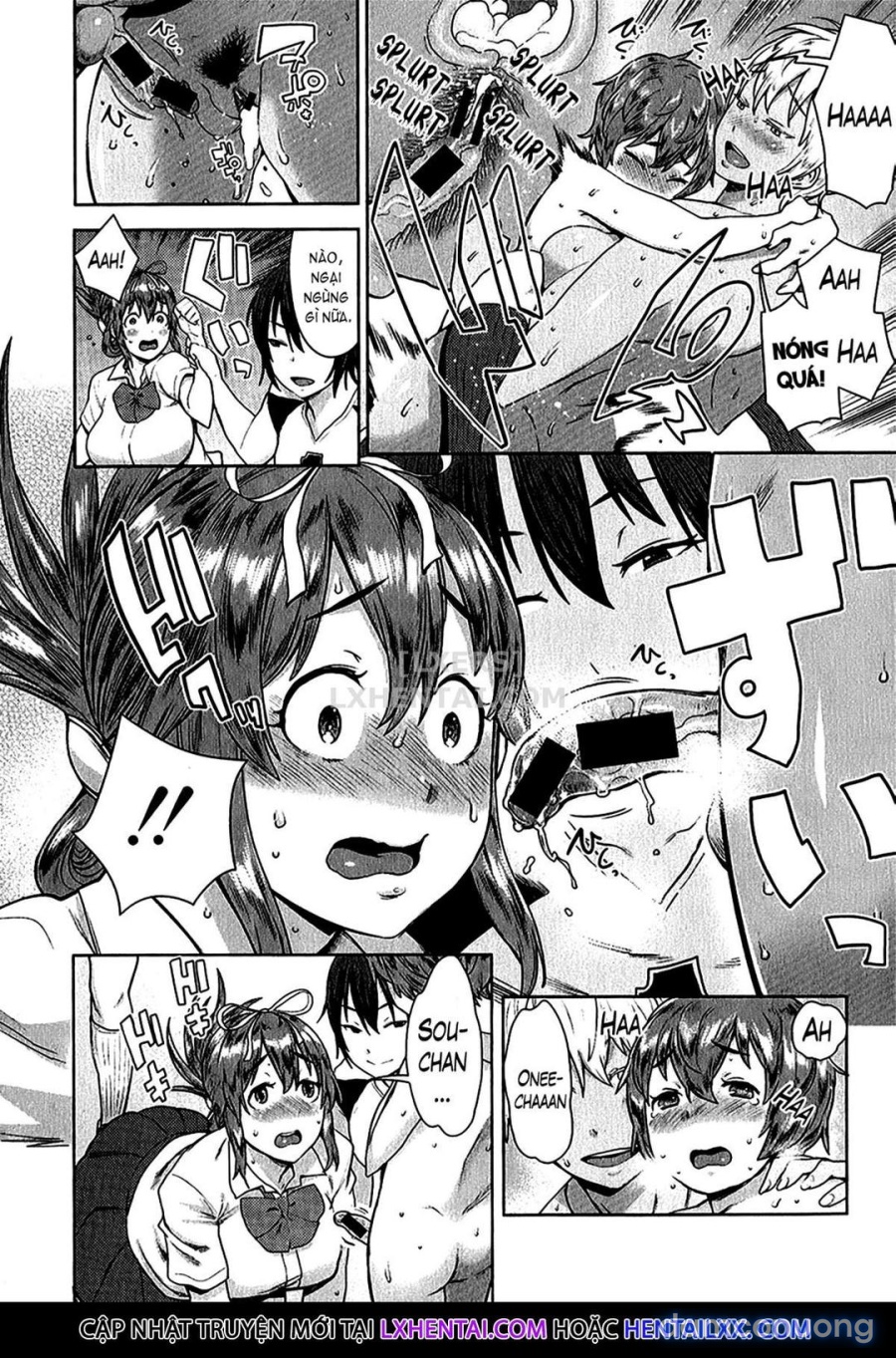 Ane x Pako² 