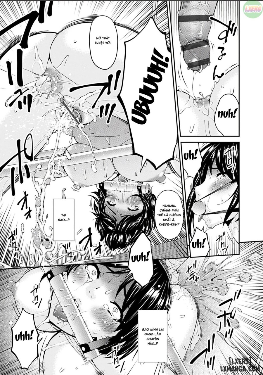 Shokurei 