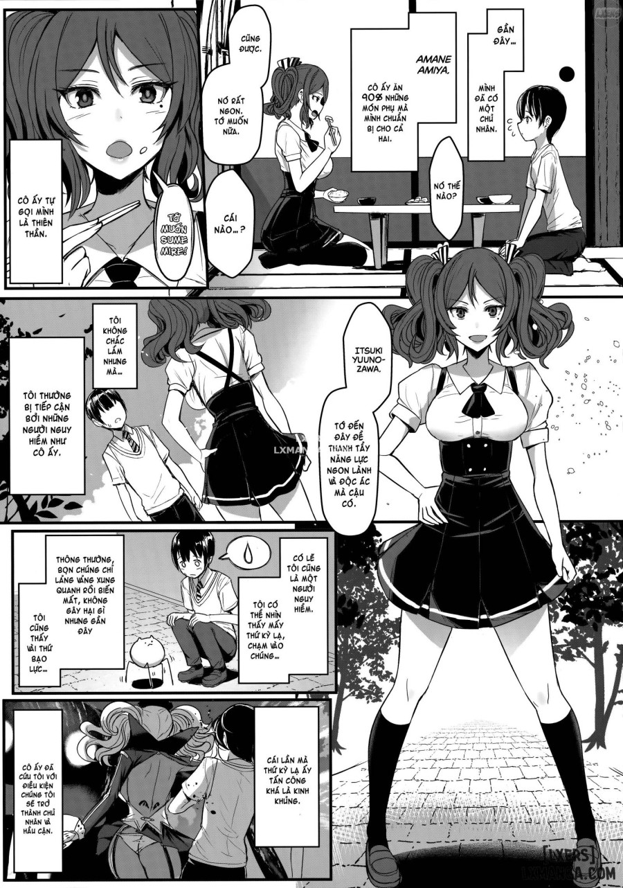 Tender Master 