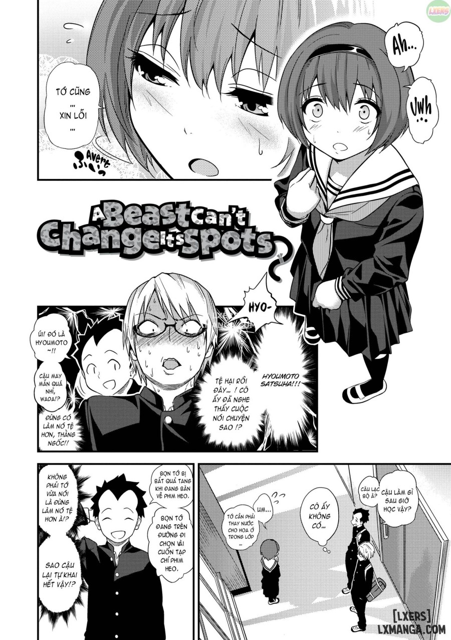 Kogals, Sluts, and Whatever 
