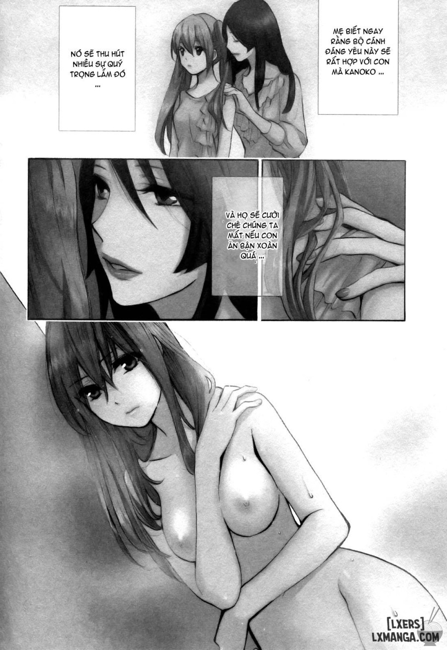 Velvet Kiss 