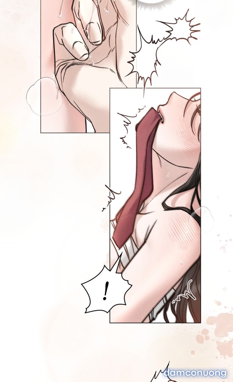 [18+] ĐÊM HỖN LOẠN 