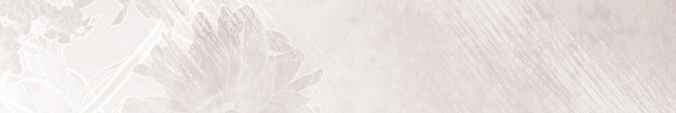 [18+] ĐÊM HỖN LOẠN 