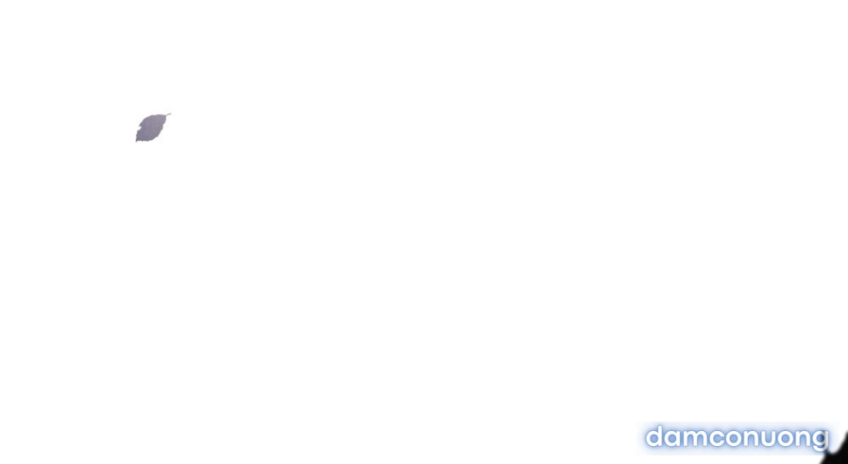 [18+] ĐÊM HỖN LOẠN 