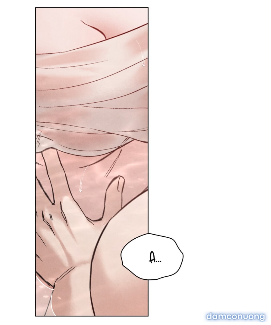 [18+] ĐÊM HỖN LOẠN 