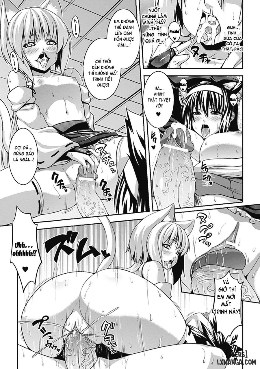 Bitch Harem 