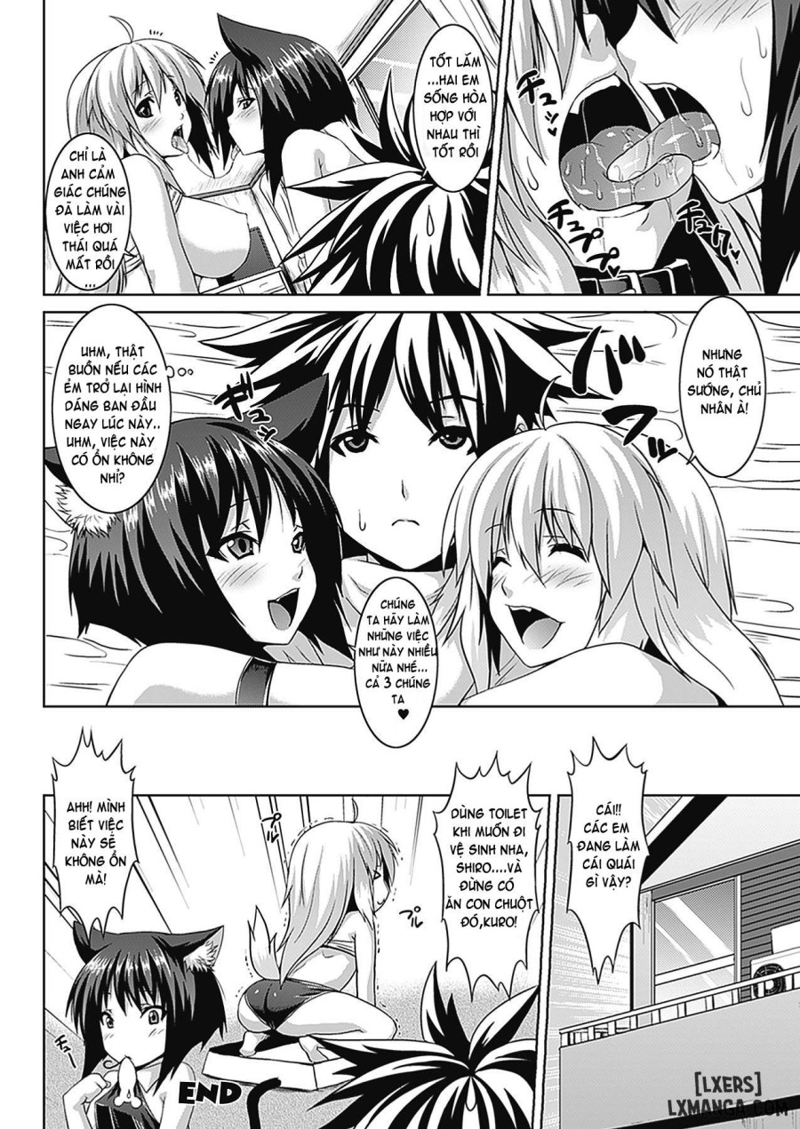 Bitch Harem 