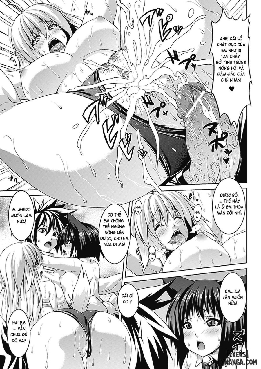 Bitch Harem 