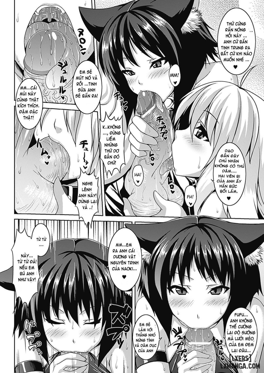 Bitch Harem 