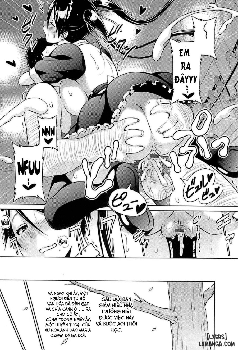 Cast Aoi 