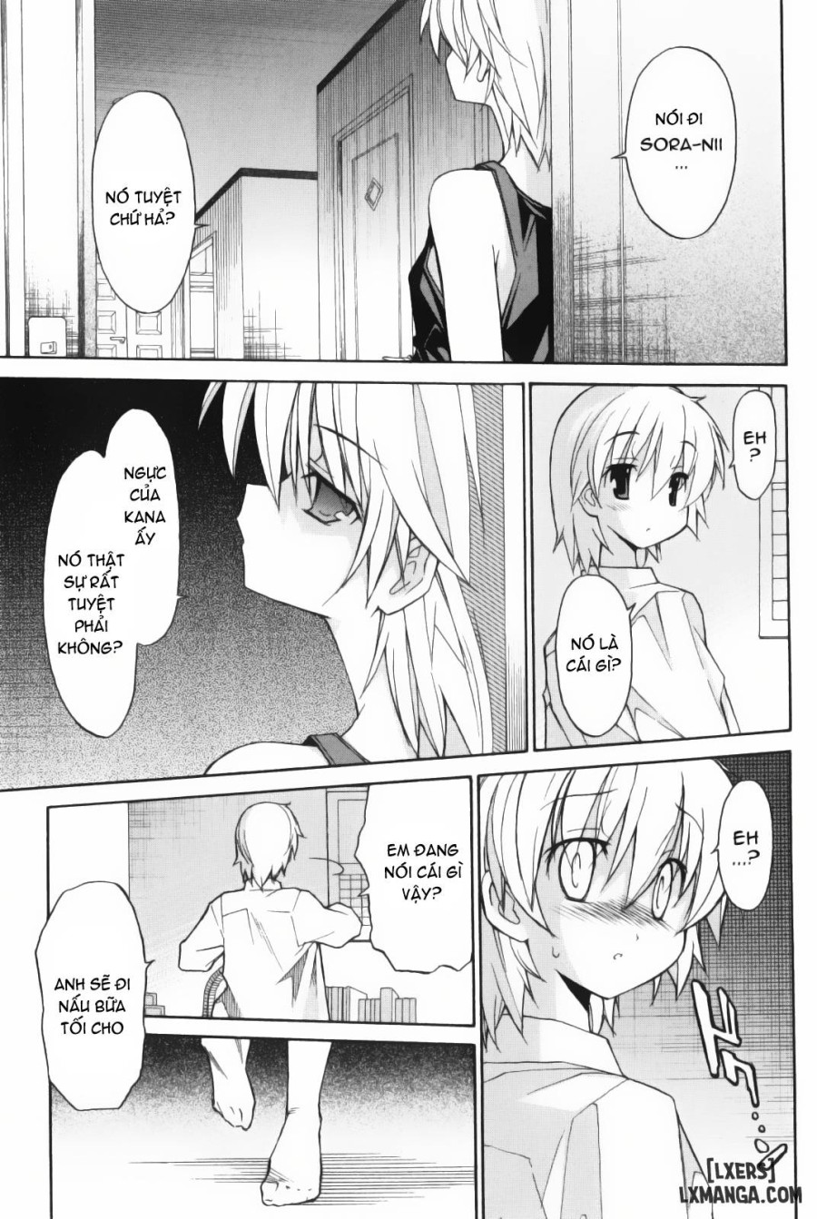 Aki Sora 