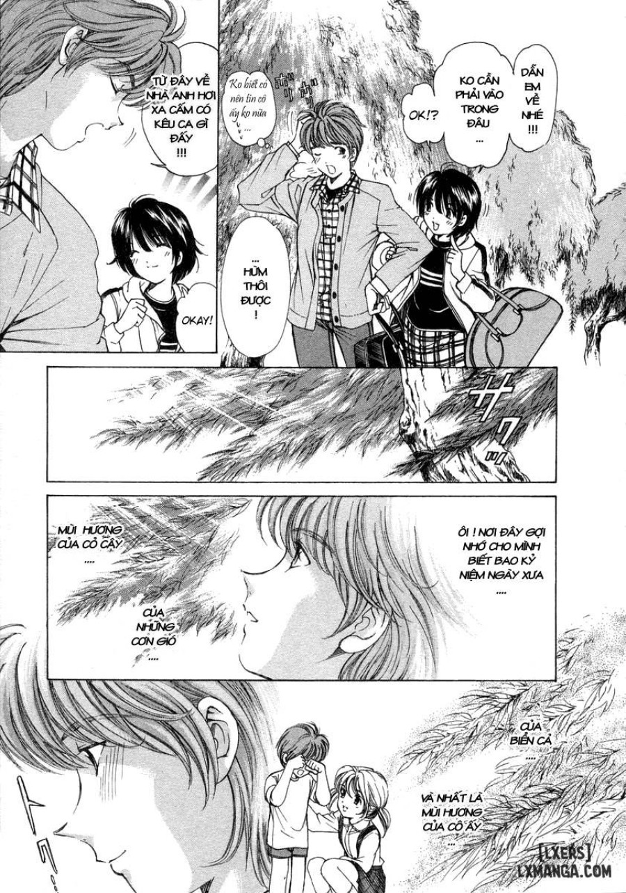 Koi Kara Hajimaru 