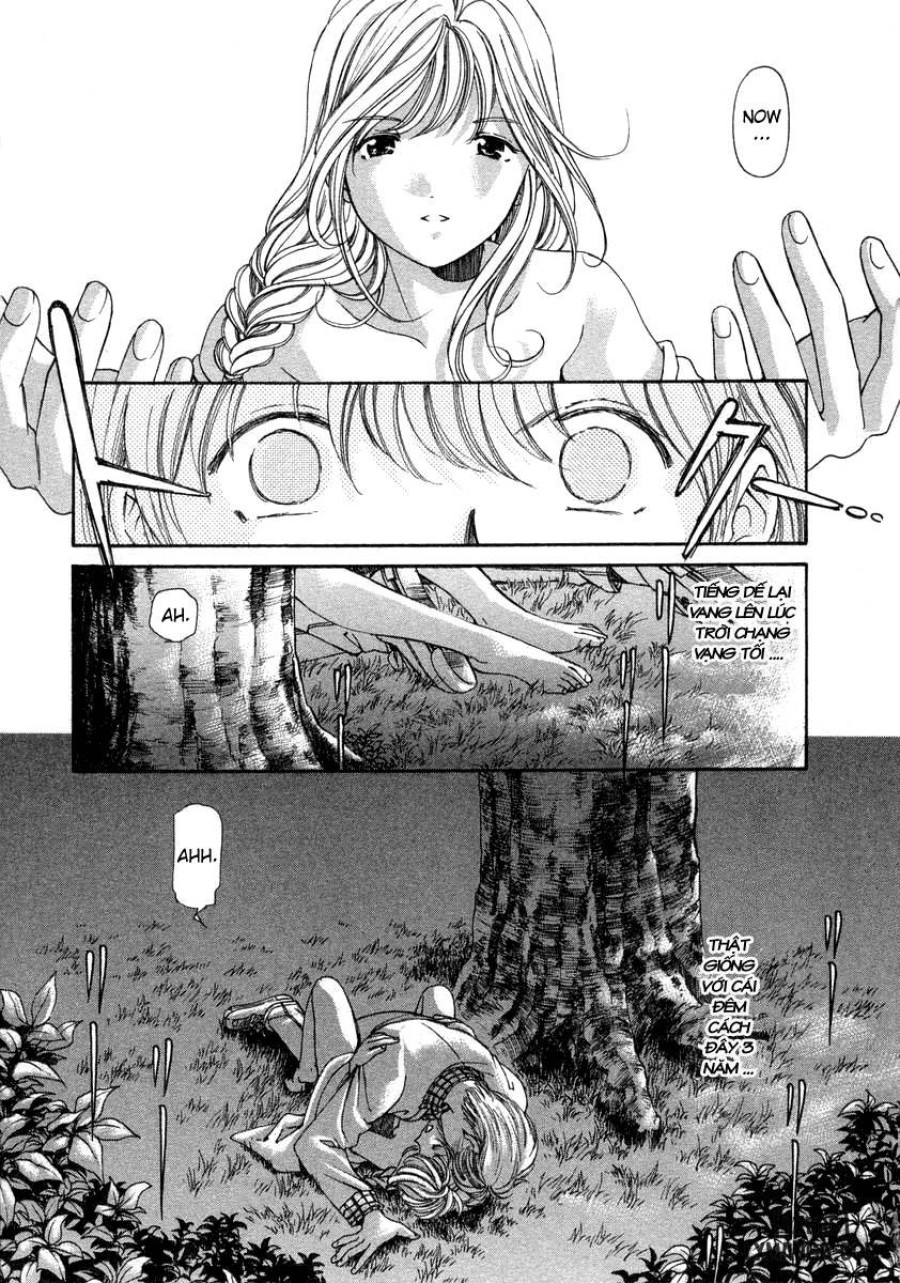 Koi Kara Hajimaru 