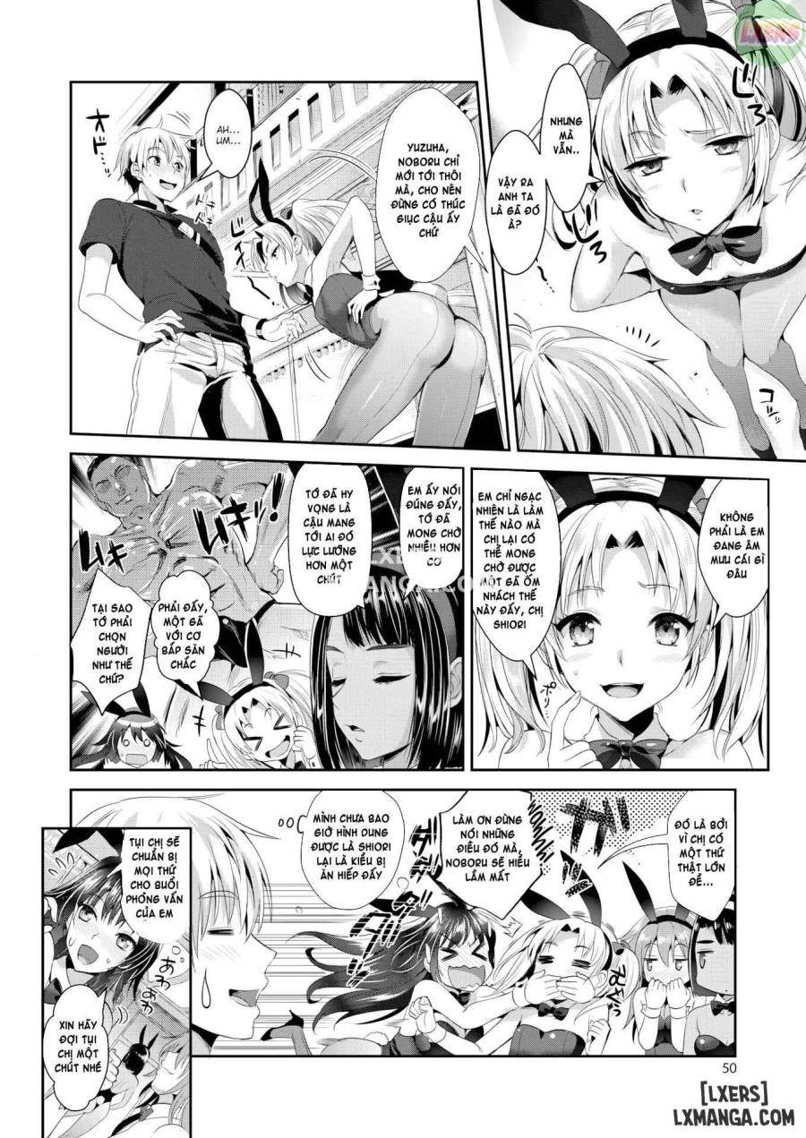 Welcome to Bunny Academy 
