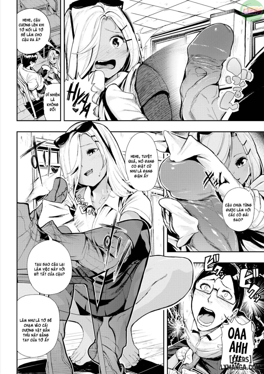 Stiff & Kogal 