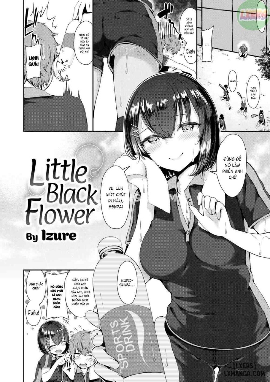 Little Black Flower 
