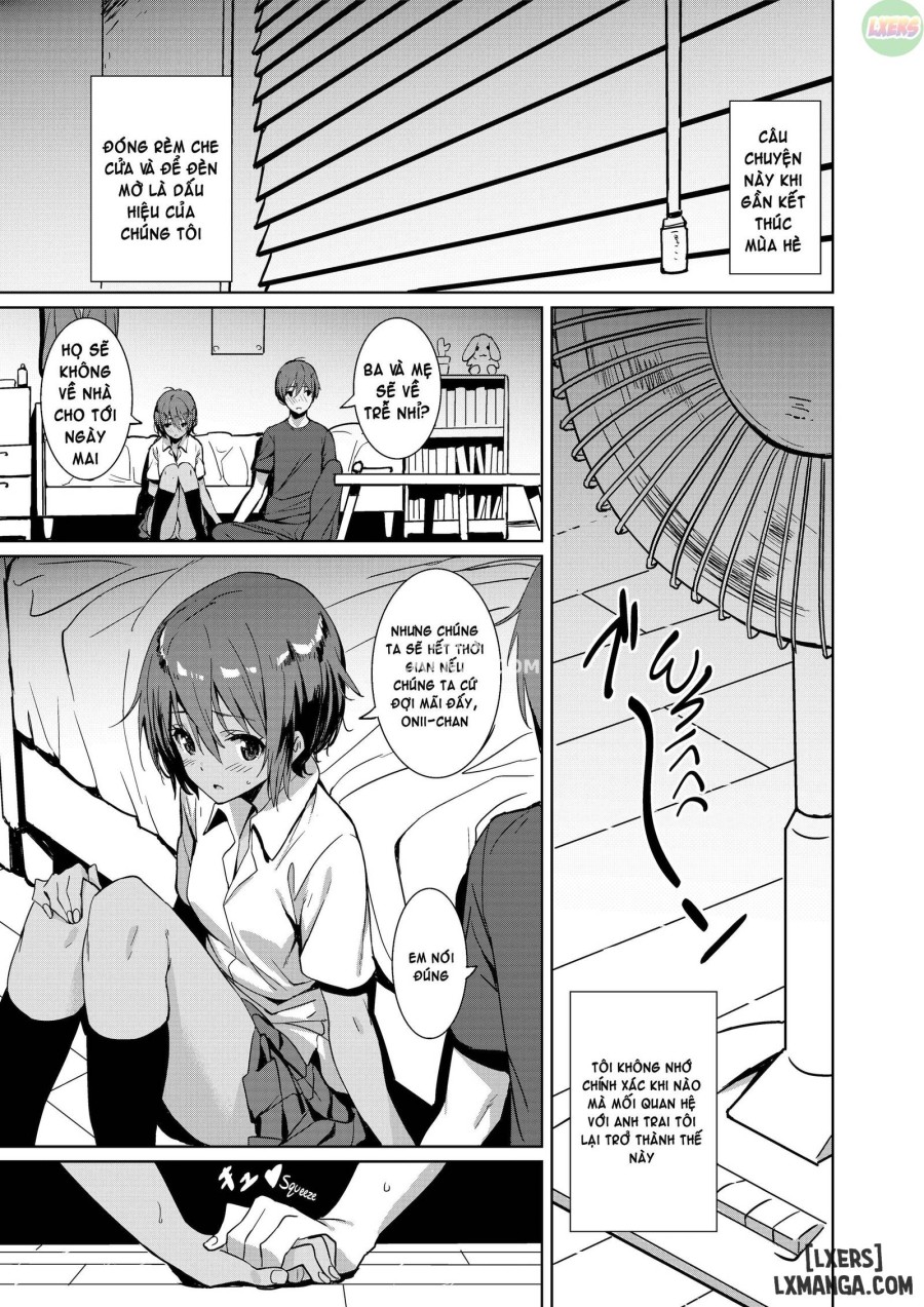 Saitom Box 