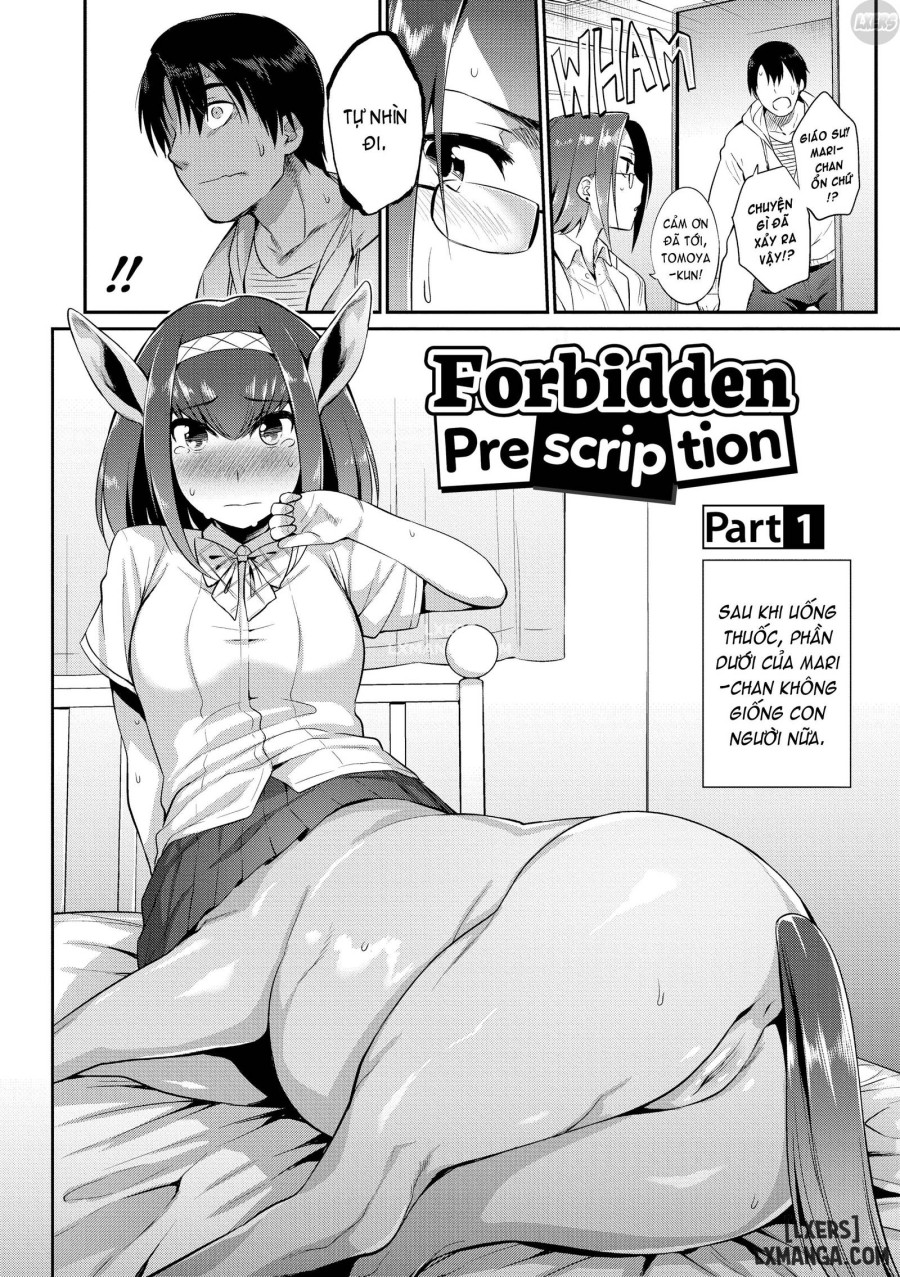 How to Conquer Monster Girls 