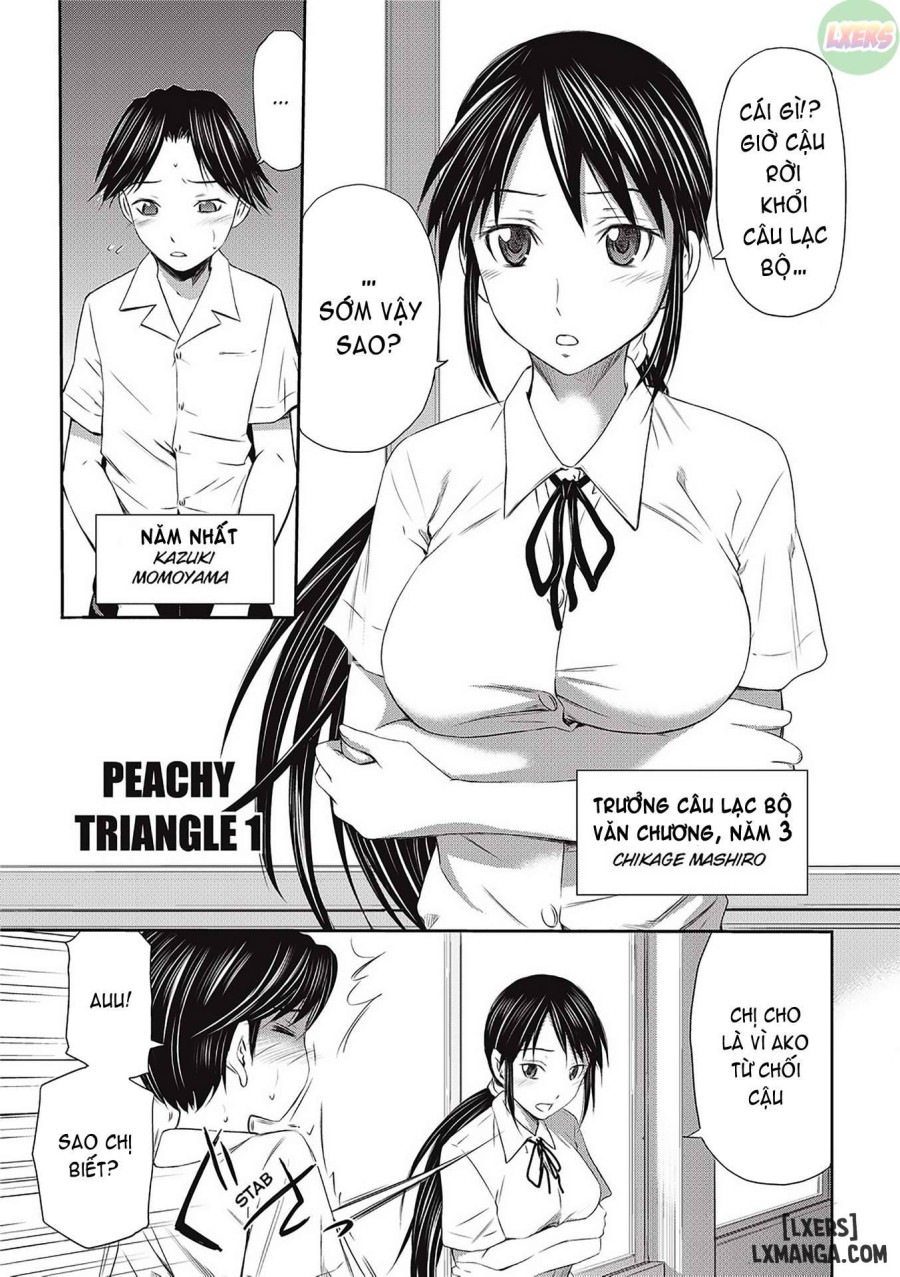 Peachy Triangle 