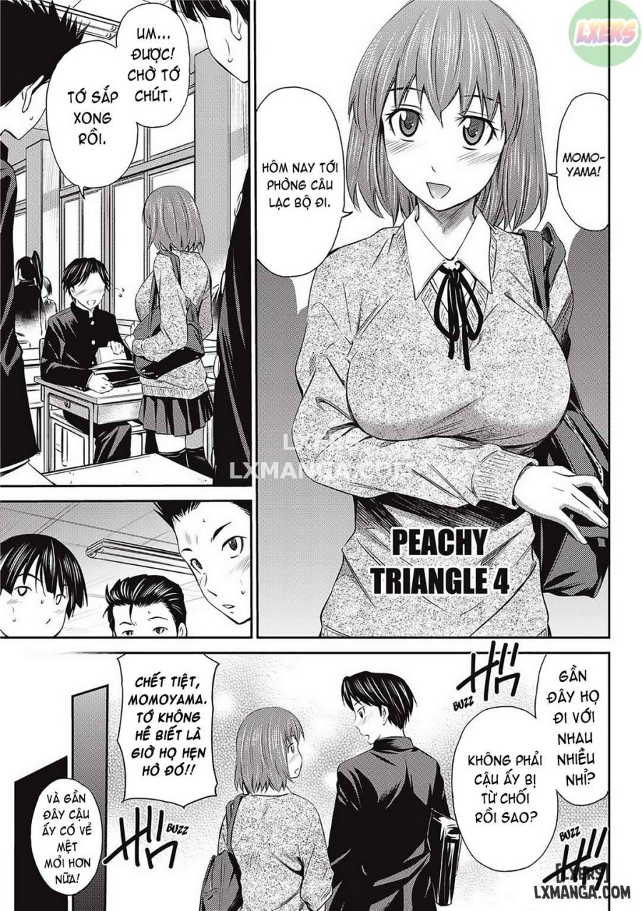 Peachy Triangle 