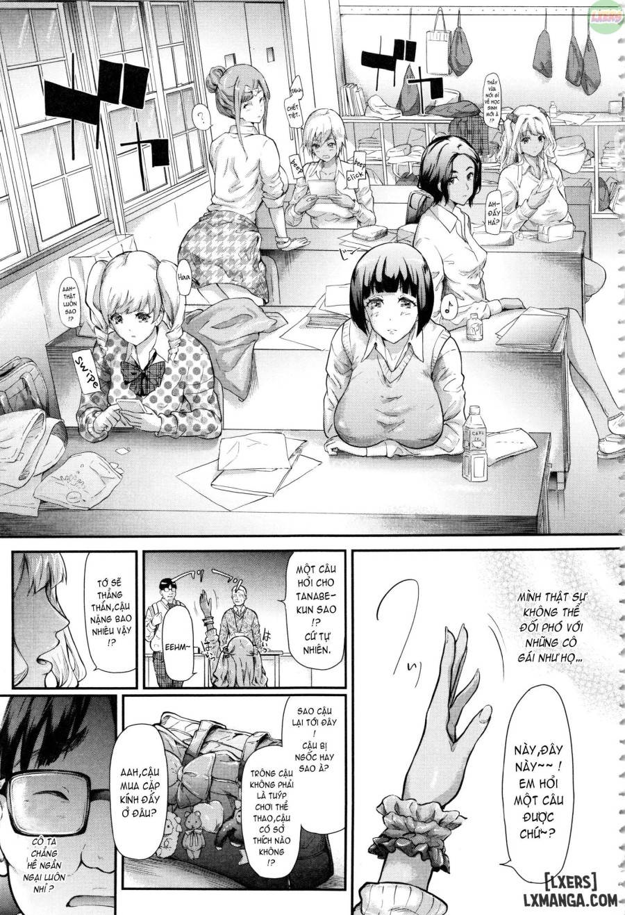 Gal Tomo Harem 