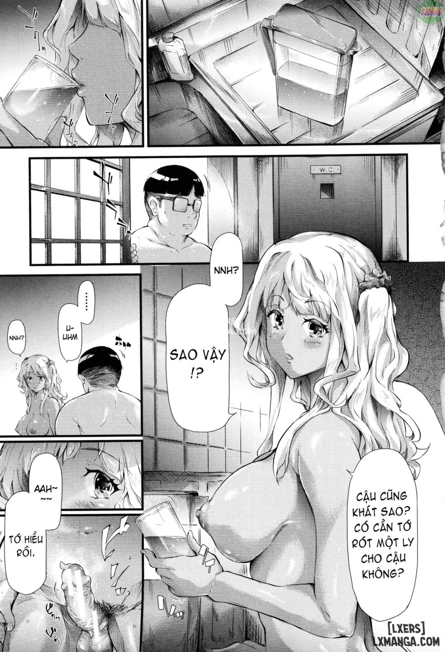 Gal Tomo Harem 