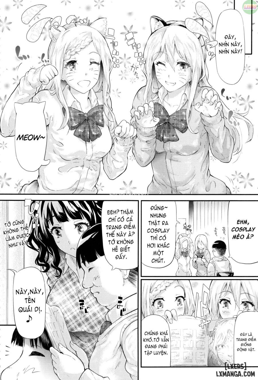 Gal Tomo Harem 