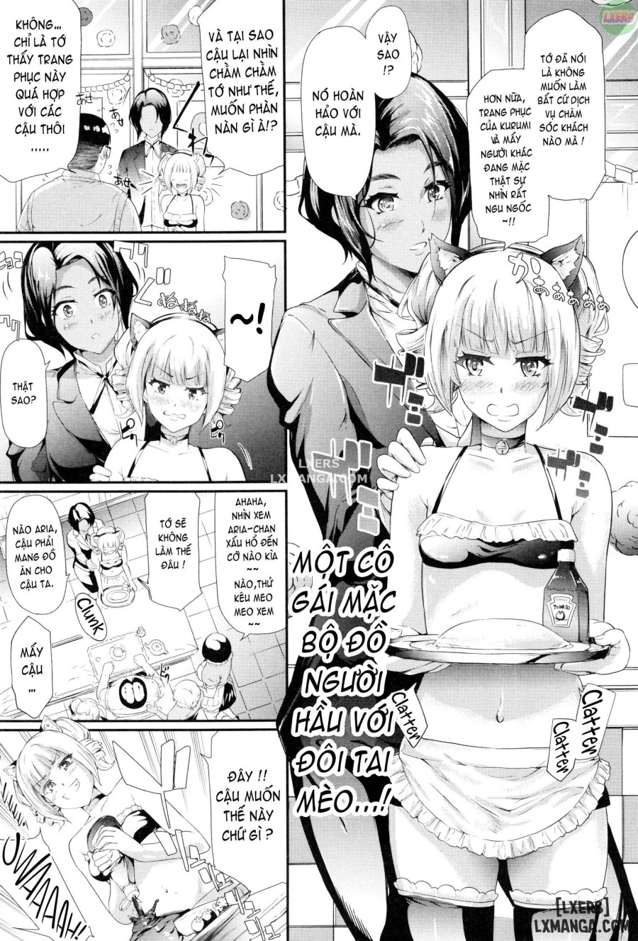 Gal Tomo Harem 