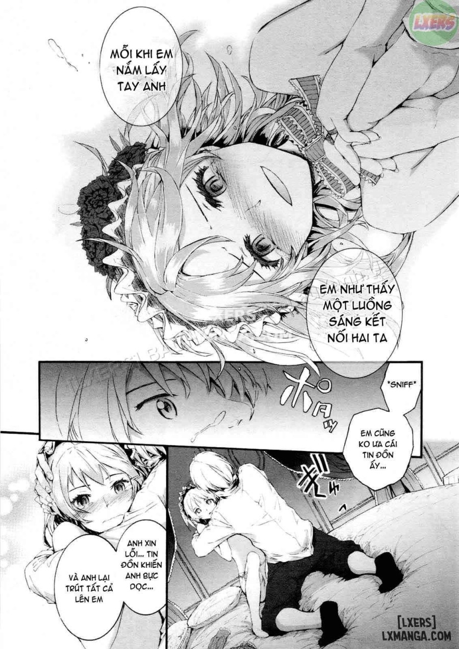 Sayonara Fairies 