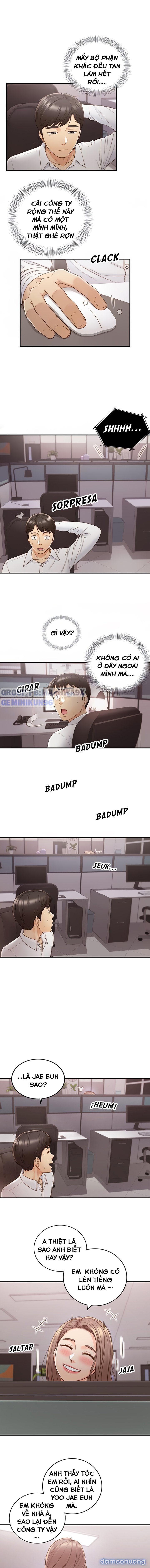 Nàng Boss Trẻ Tuổi 