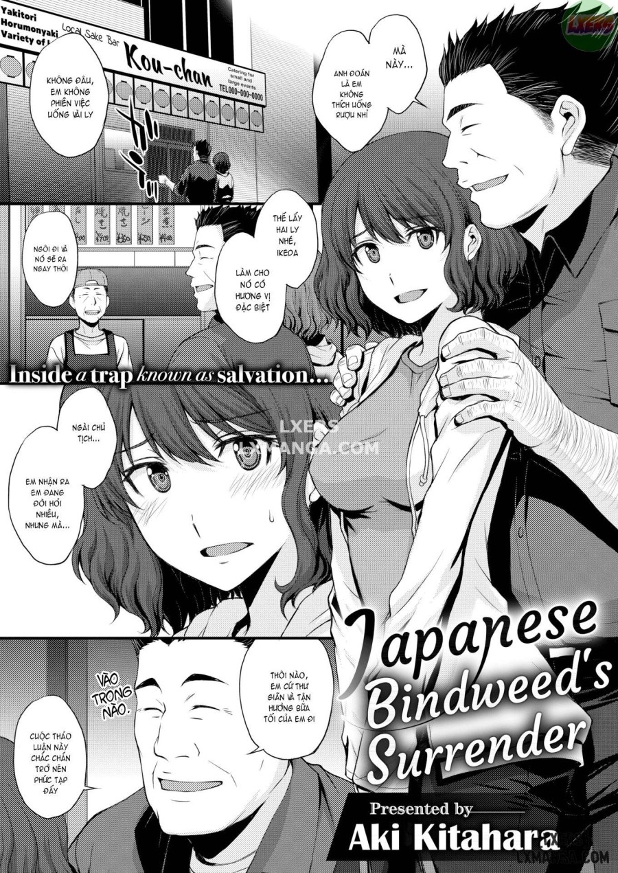 Japanese Bindweed's Surrender 